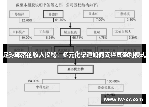足球部落的收入揭秘：多元化渠道如何支撑其盈利模式