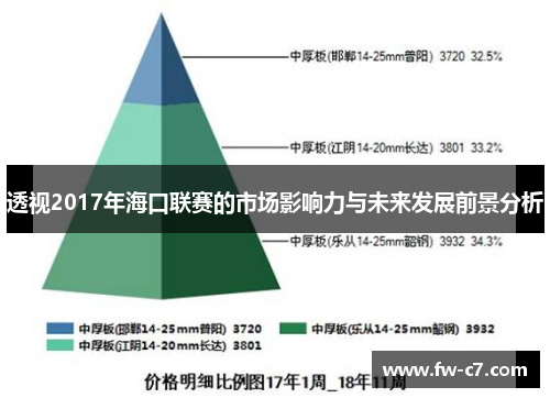 透视2017年海口联赛的市场影响力与未来发展前景分析 透视2017年海口联赛的市场影响力与未来发展前景分析