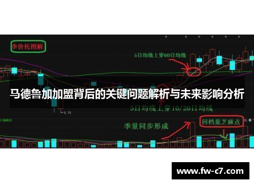 马德鲁加加盟背后的关键问题解析与未来影响分析