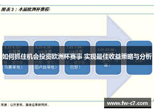 如何抓住机会投资欧洲杯赛事 实现最佳收益策略与分析