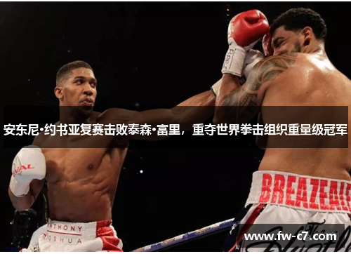 安东尼·约书亚复赛击败泰森·富里，重夺世界拳击组织重量级冠军